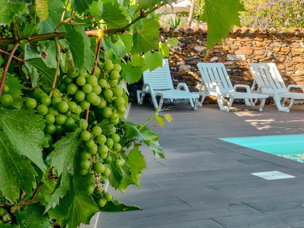 Casa Do Casal - Country House With Swimming Pool Виана-ду-Каштелу Экстерьер фото